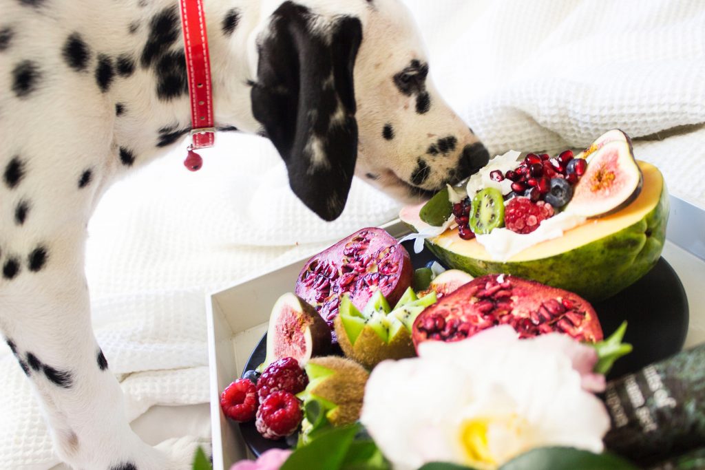 best fruits for dogs