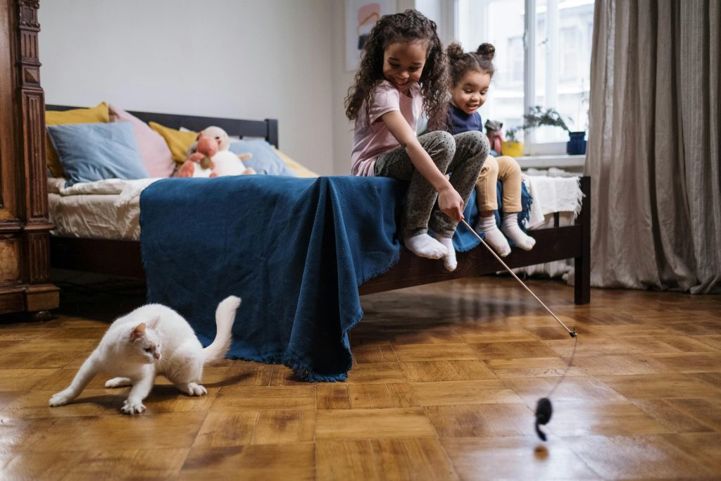 juegos gatos